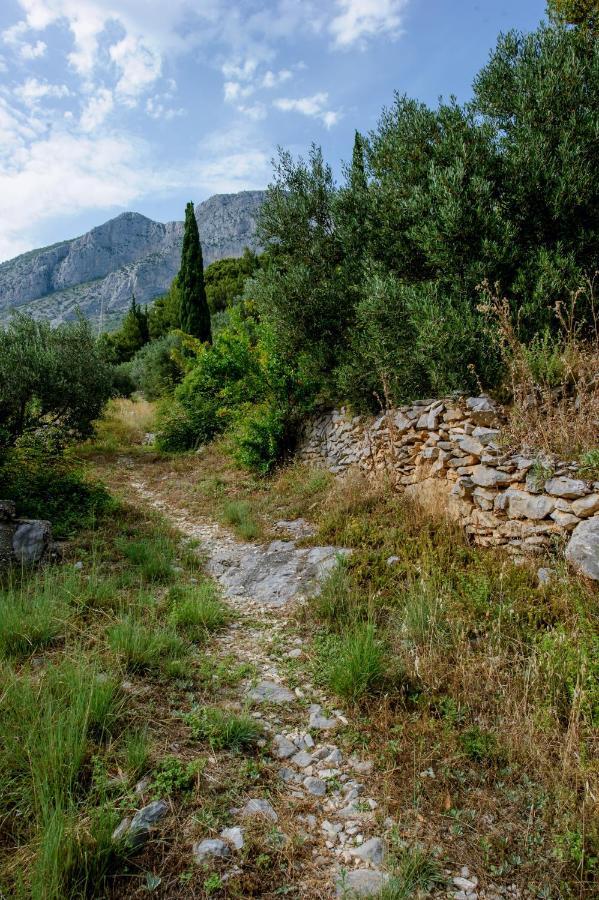 Pension Maric Rooms Brist Esterno foto